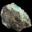 Beryl (Var: Emerald) Crystal in Schist & Biotite - Bahia, Brazil #44126-2